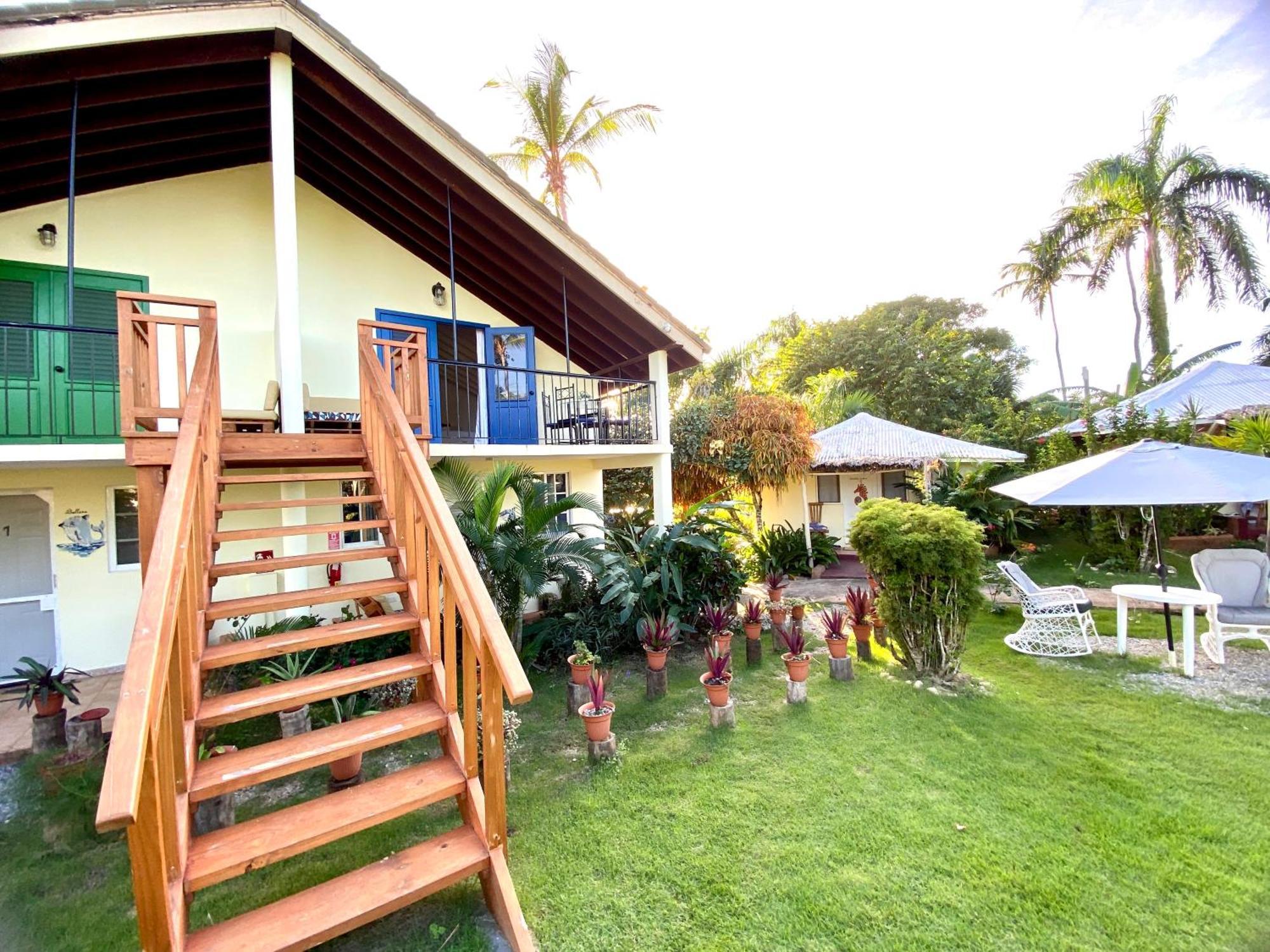 Arena Oceanview Hotel & La Terraza Restaurant Las Galeras Esterno foto