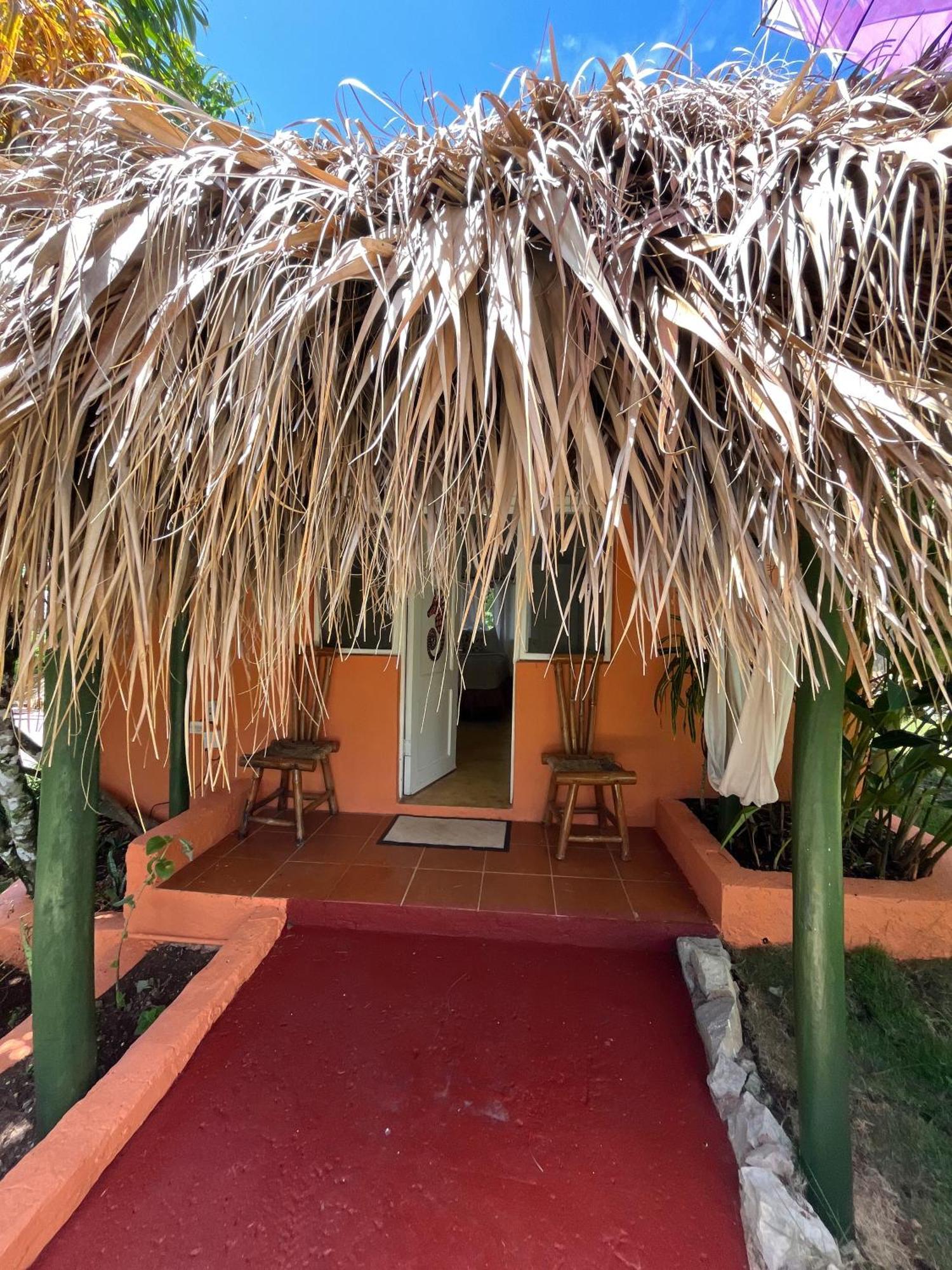 Arena Oceanview Hotel & La Terraza Restaurant Las Galeras Esterno foto